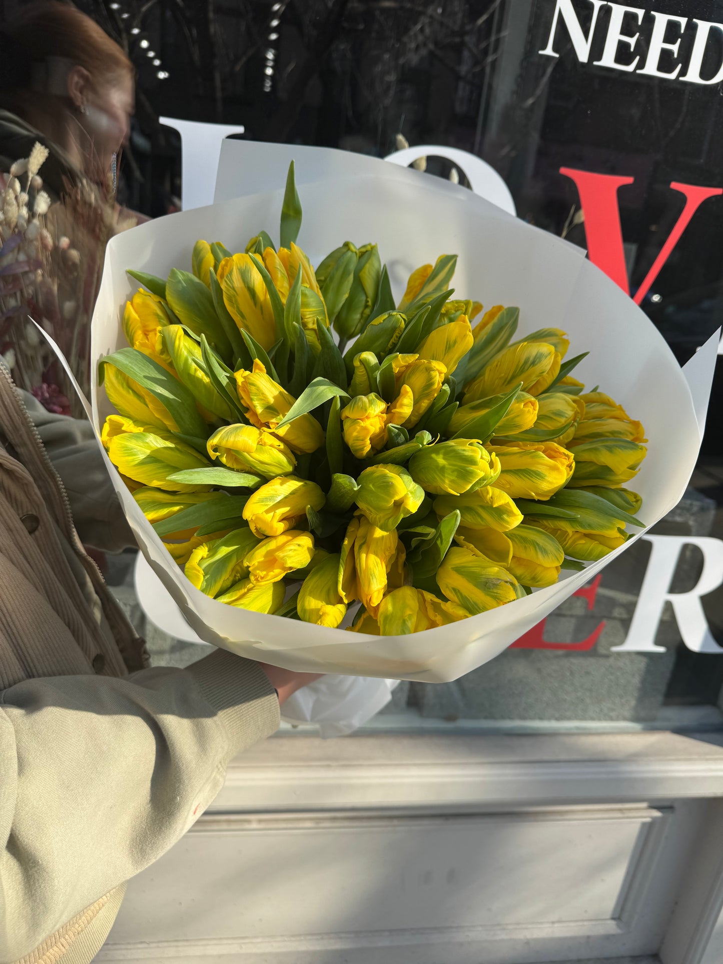 Yellow Tulips
