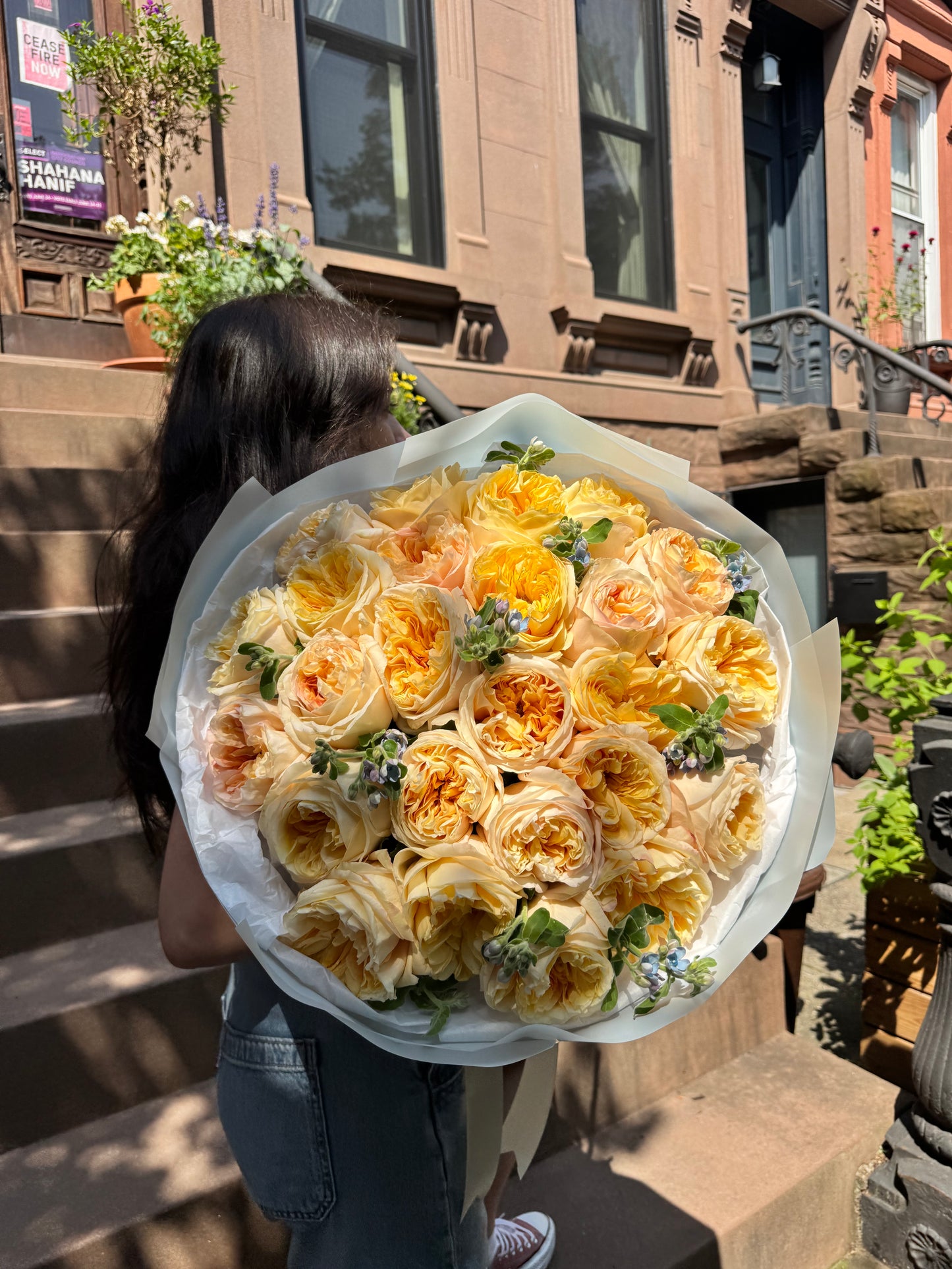 Cream Expression Garden Roses with Tweedia Bouquet