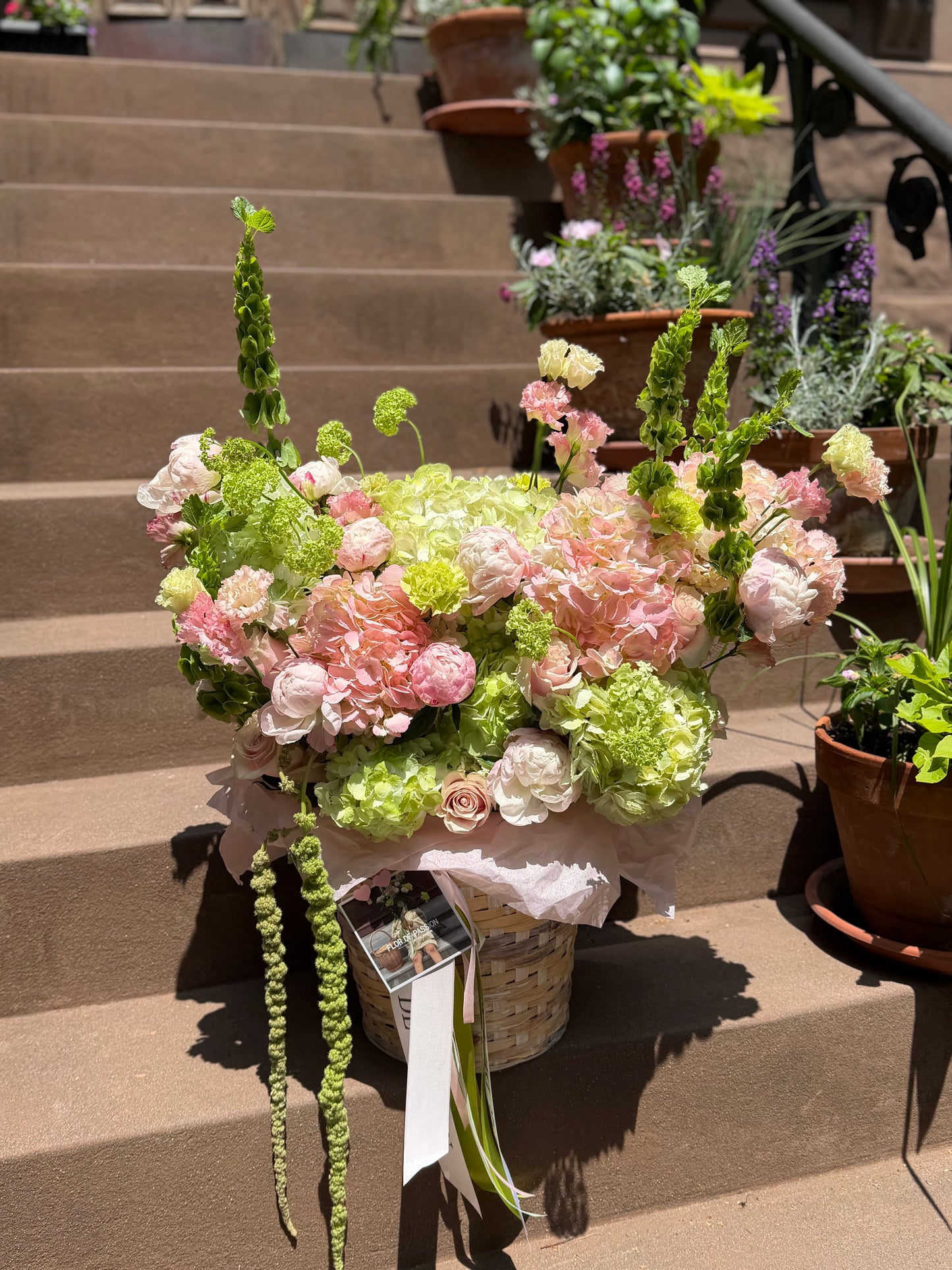 "Brownstone Bloom"Basket (Peonies, Hydrangeas, Lisianthus, Viburnum, Carnations, Roses, Bells of Ireland, Amaranth)