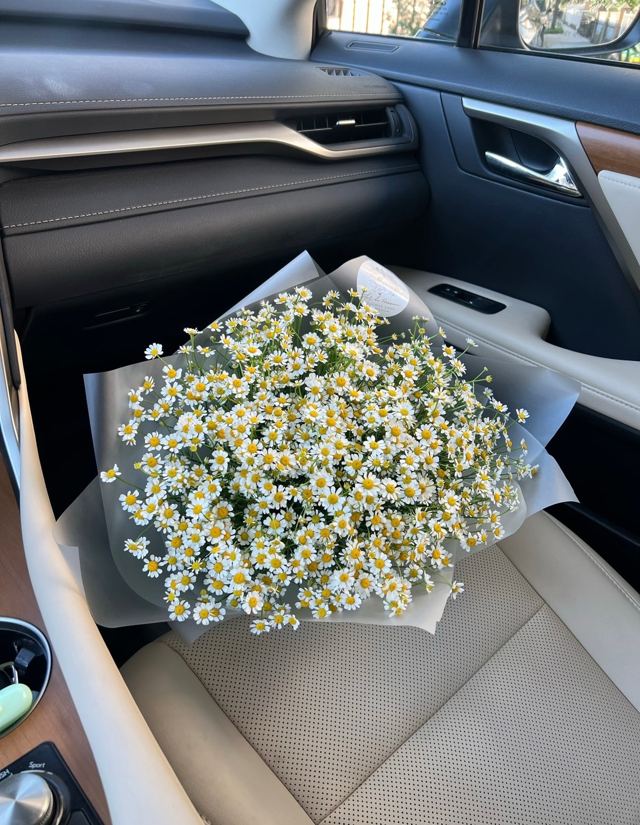 Mono Chamomiles Bouquet