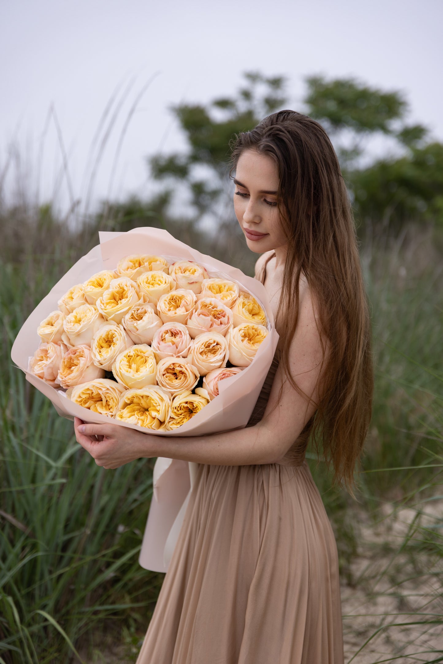 Cream Expression Garden Peony Roses