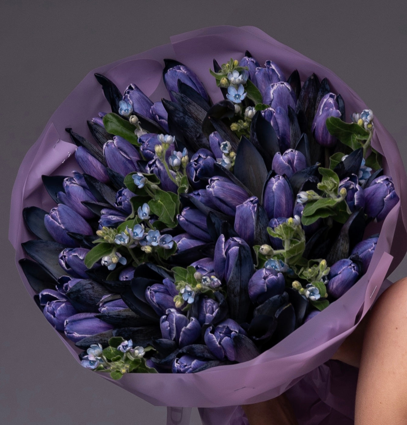 VIP Purple Tulips & Tweedia