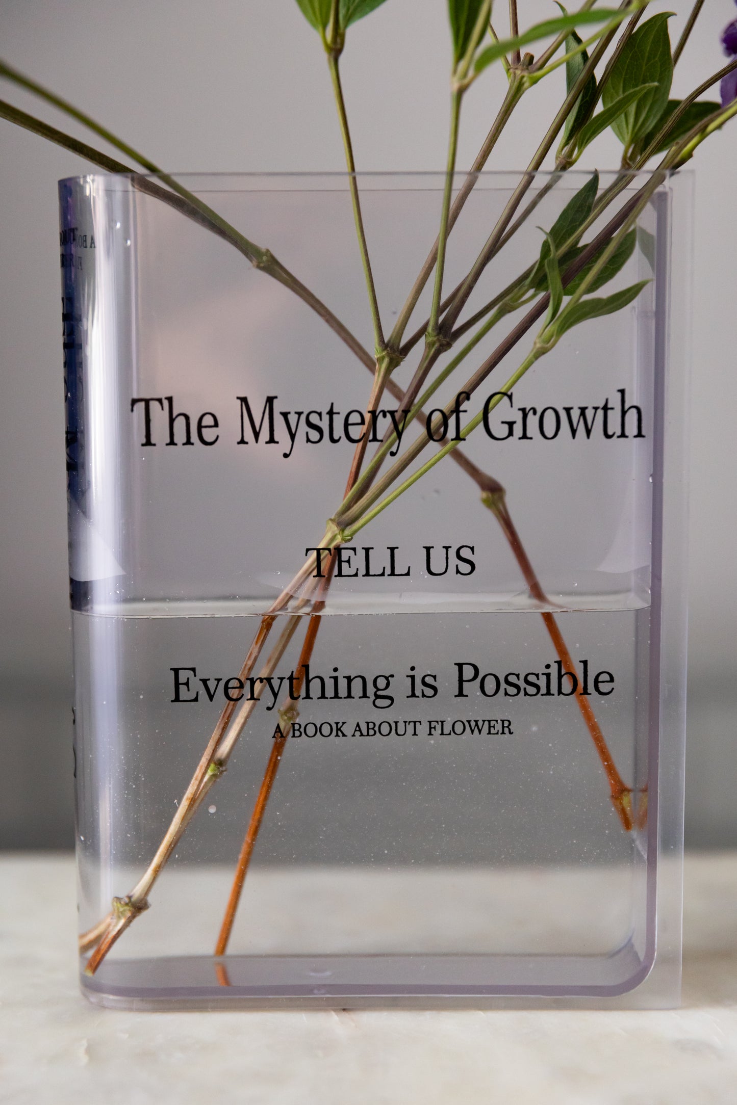 Acrylic Book Vase