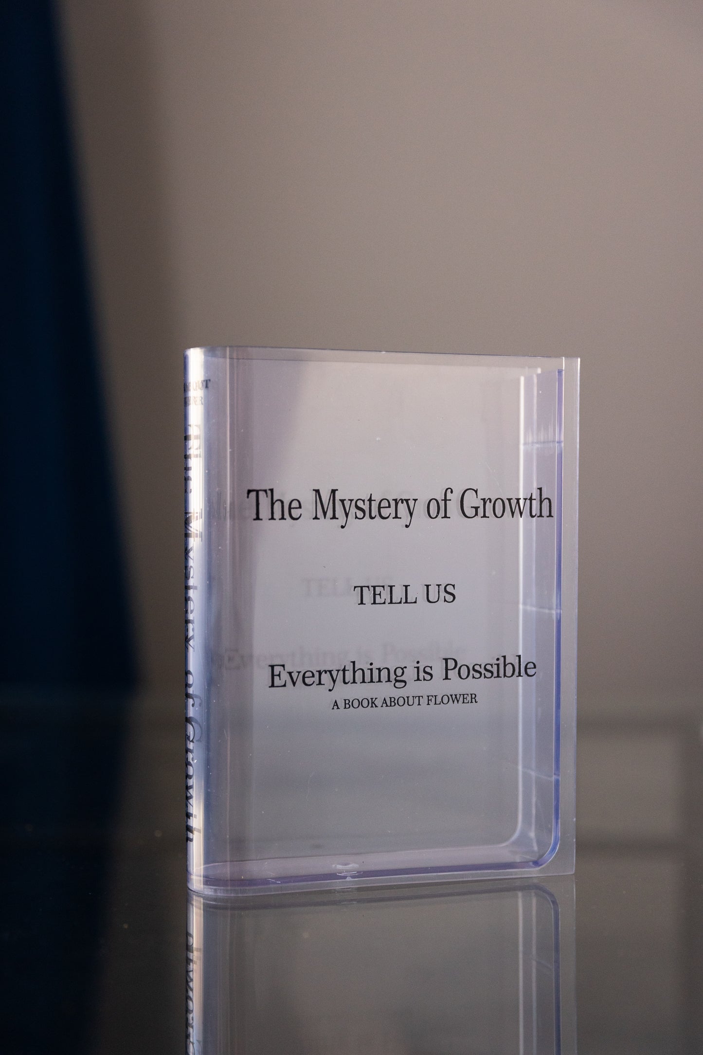 Acrylic Book Vase