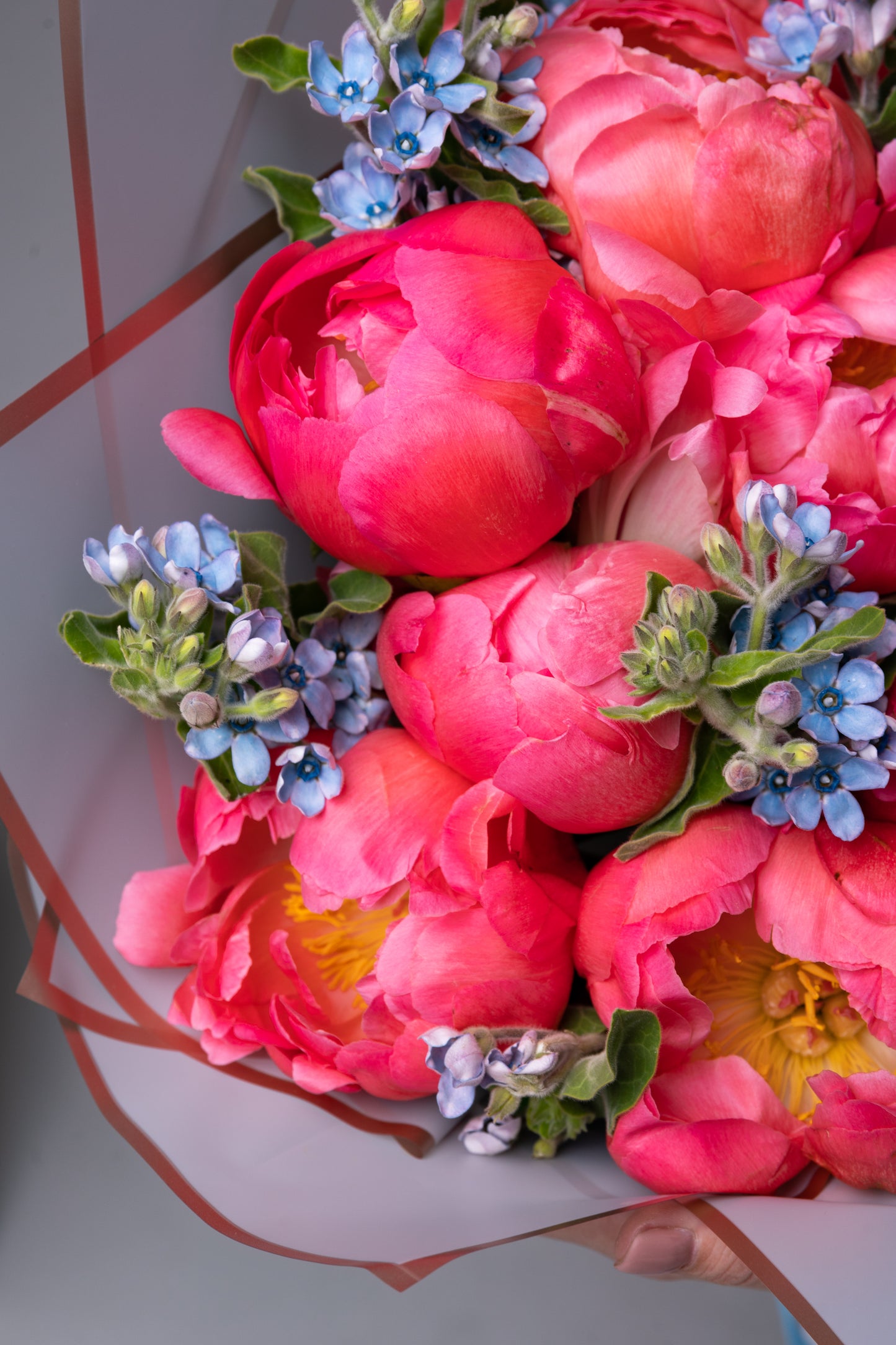 Bouquet of Coral Peonies & Tweedia