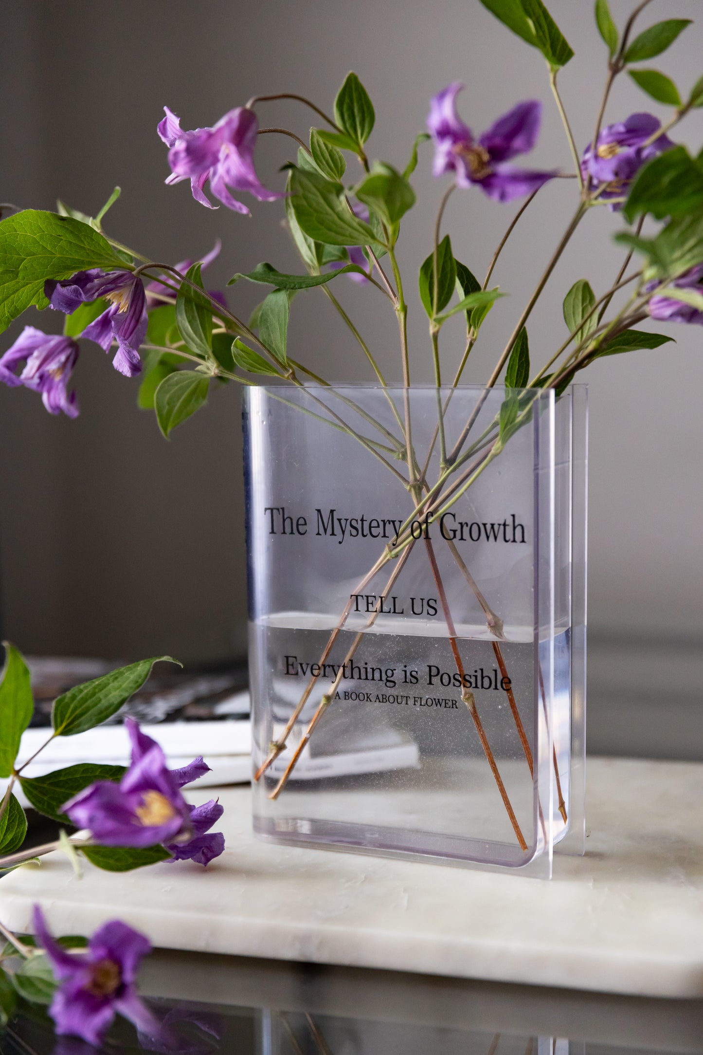 Acrylic Book Vase