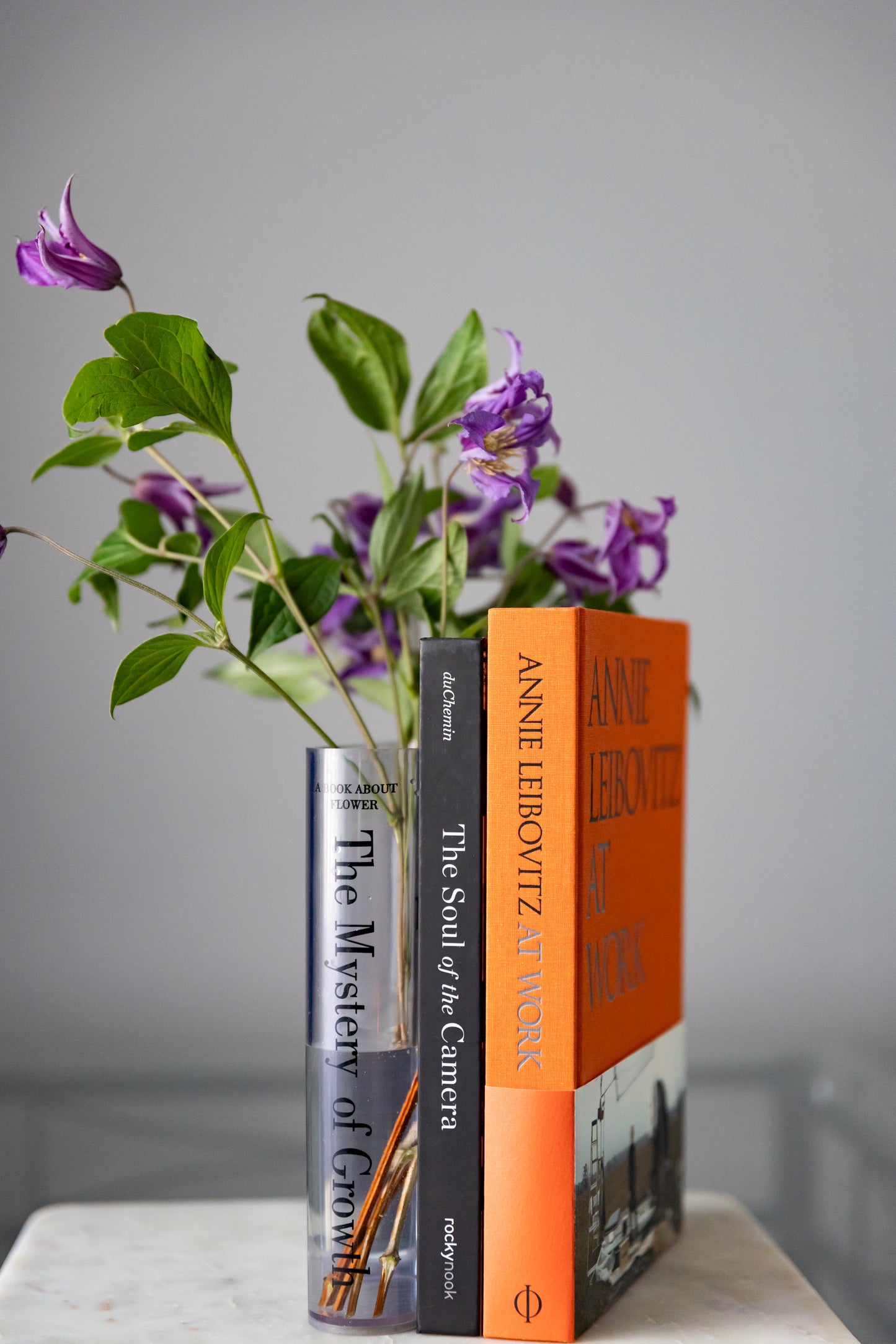 Acrylic Book Vase