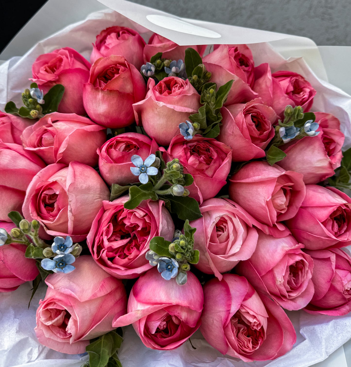 Pink Expression Garden Roses with Tweedia Bouquet