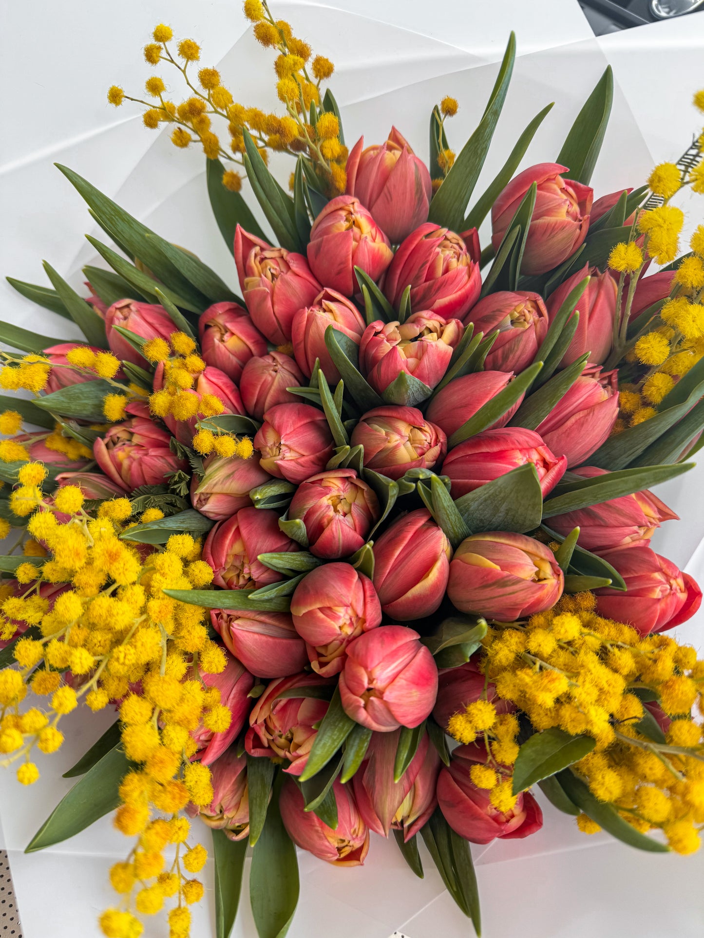 Peony Double Tulips & Mimosa