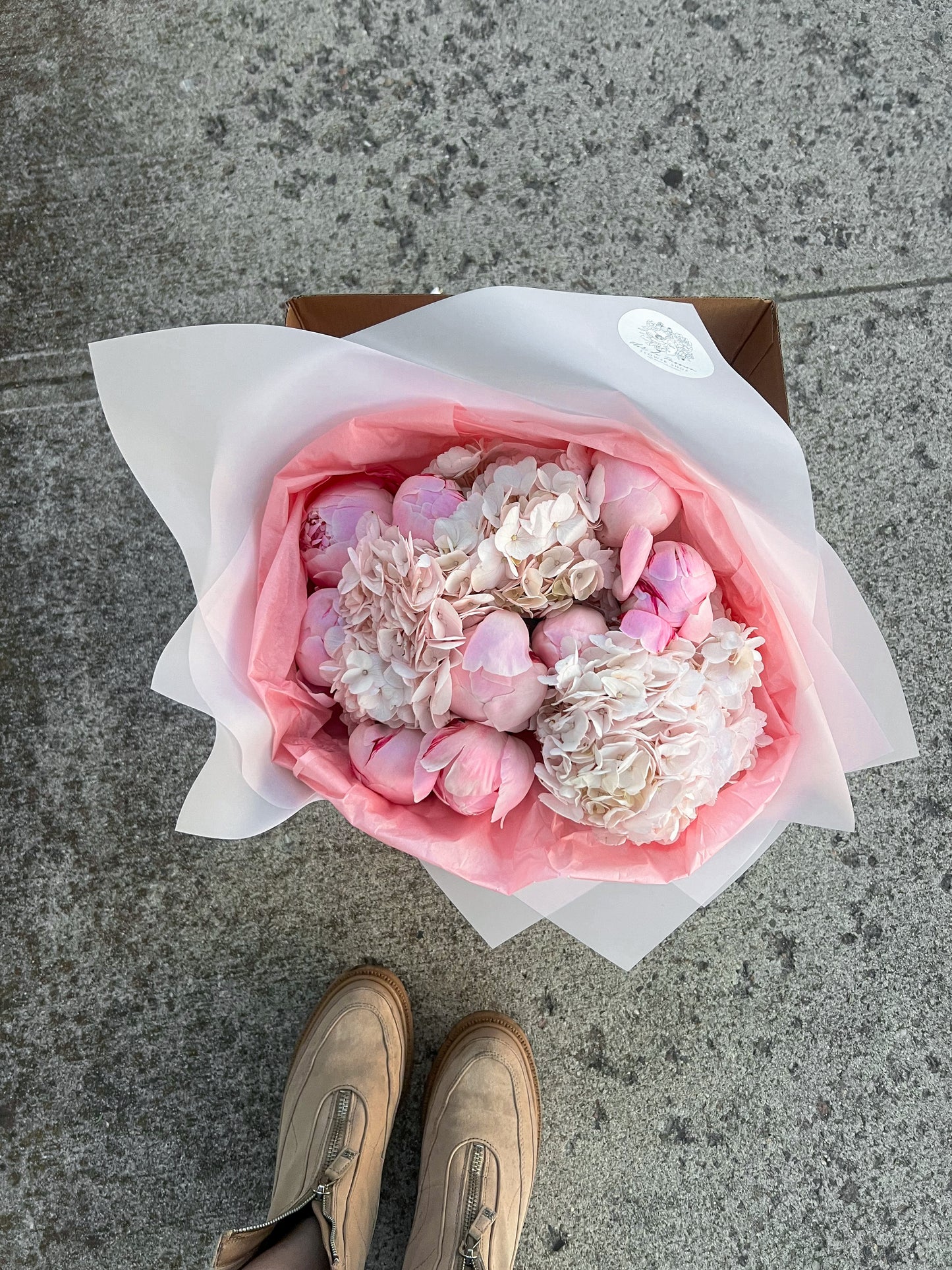 Light Pink Peonies & Hydrangeas