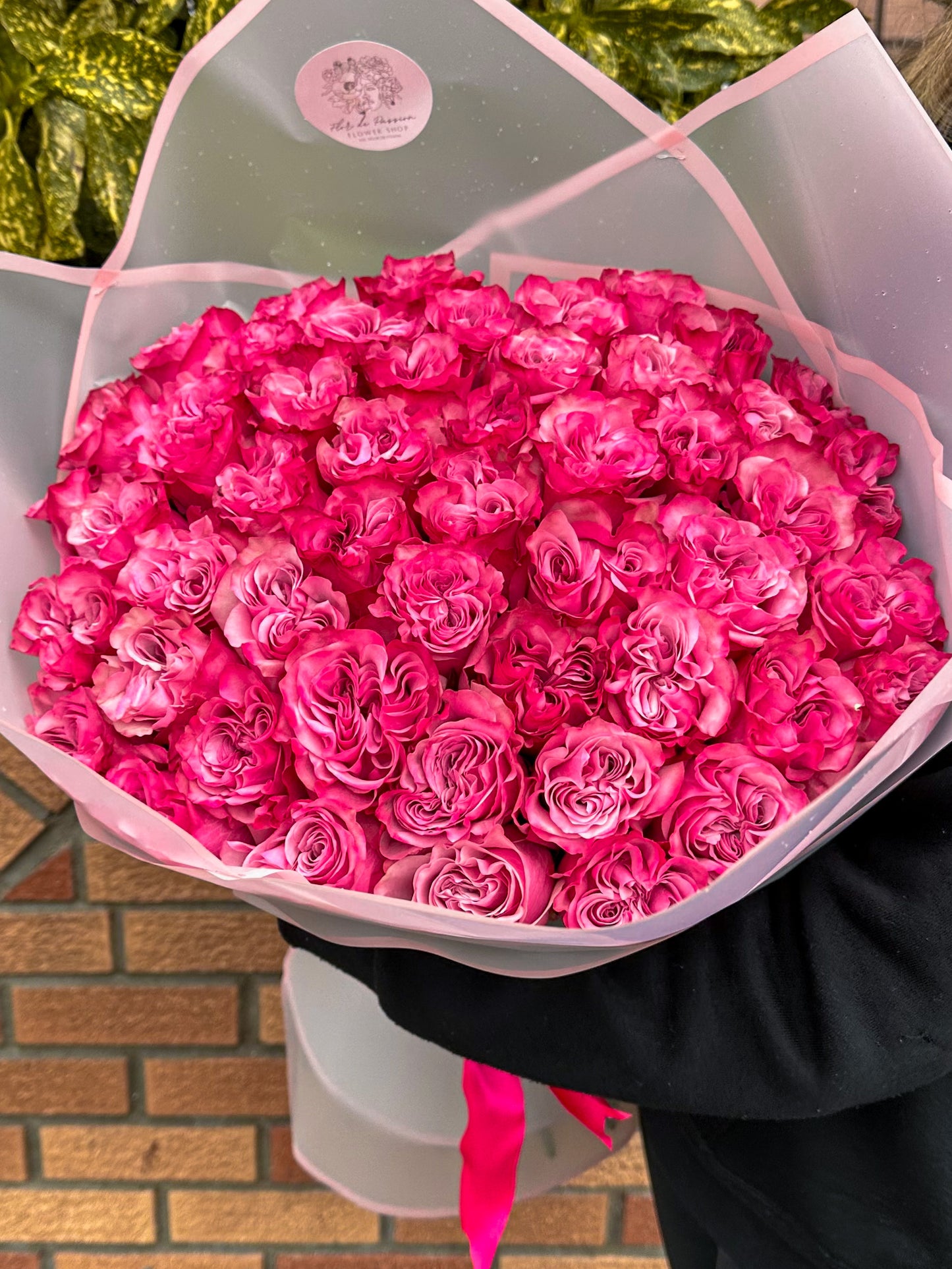 Country Blues Premium Roses