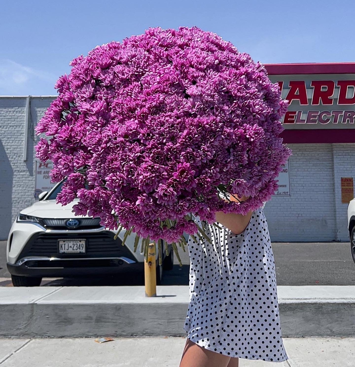 Mono Bouquet of Daisy