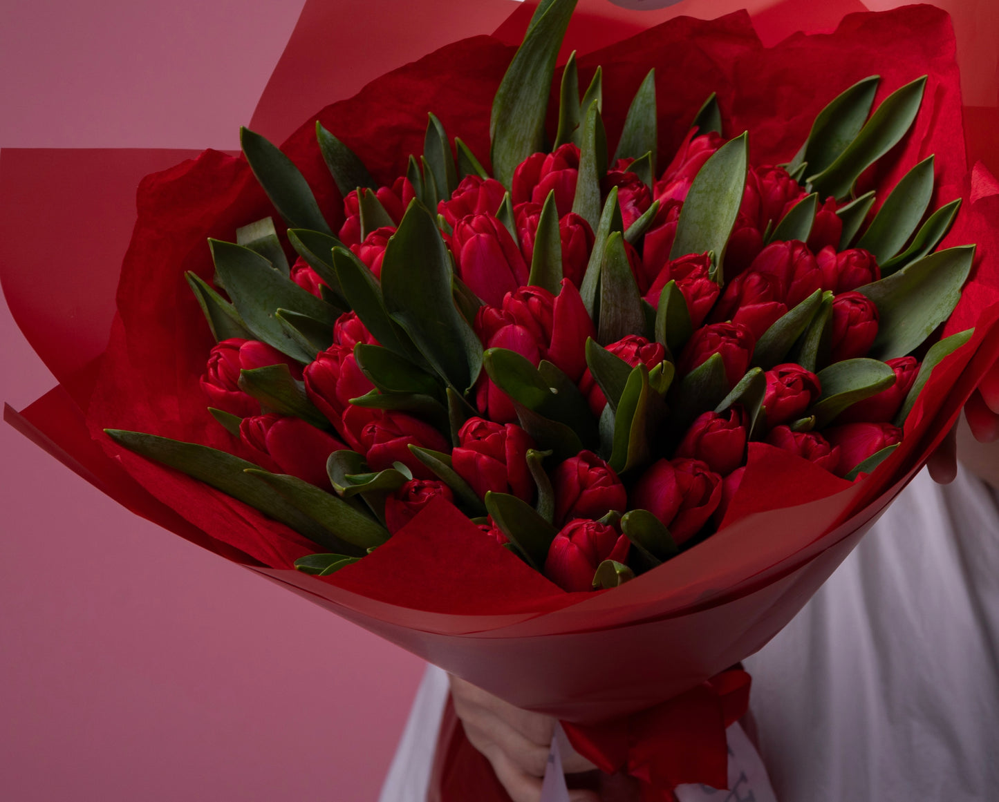 Red Tulips