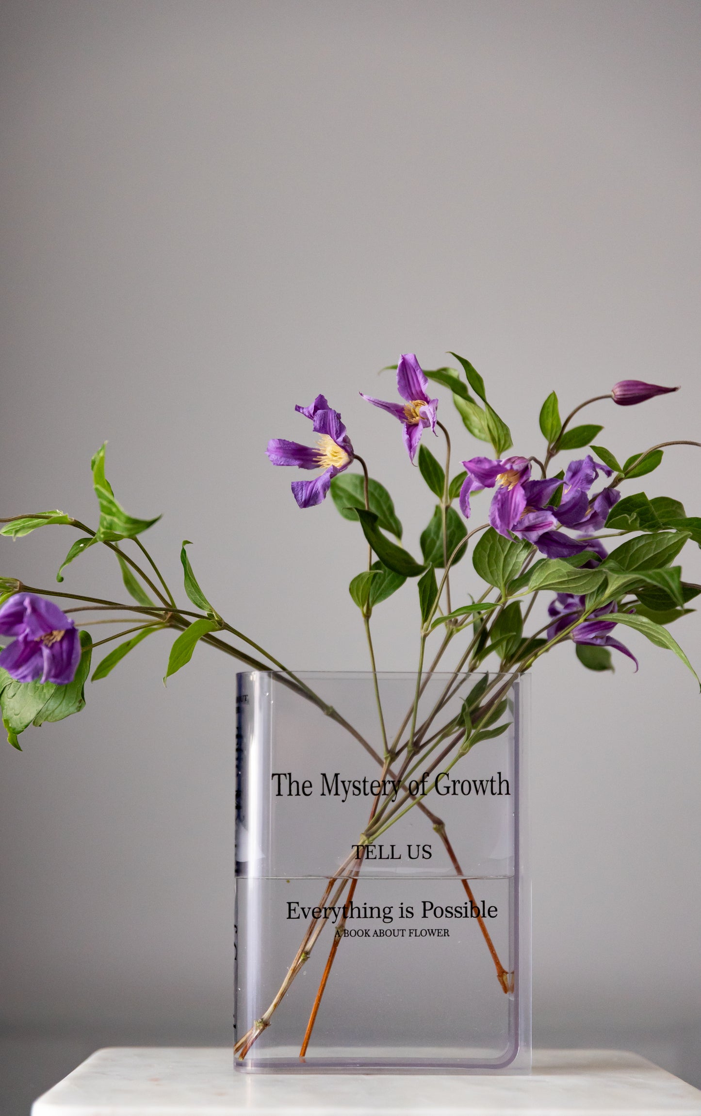 Acrylic Book Vase