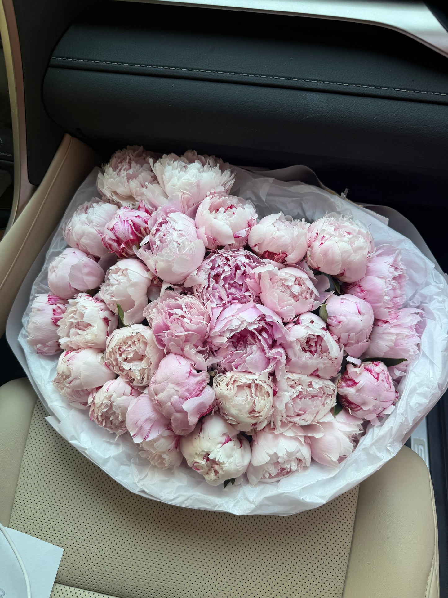 Light Pink Peonies