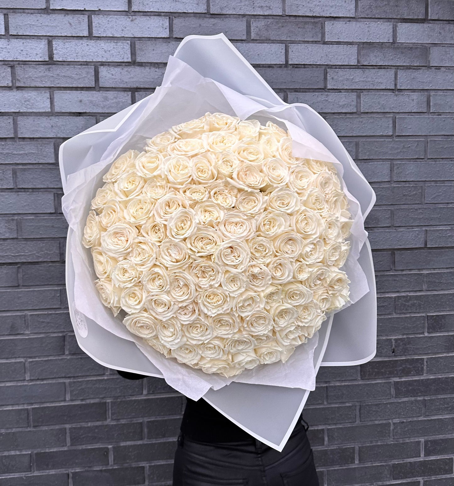 Premium White Roses