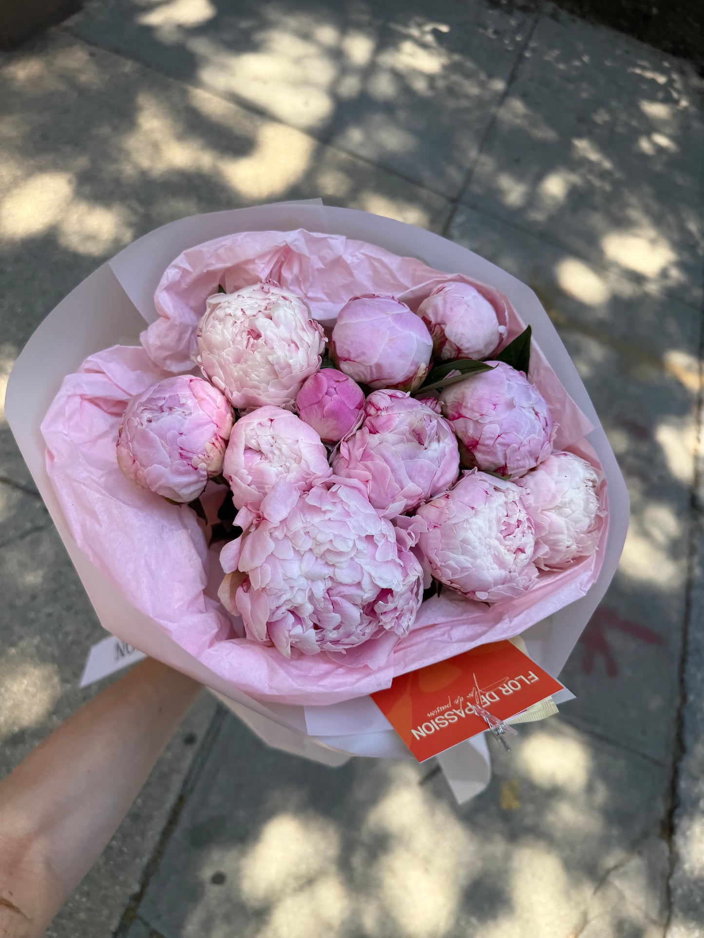 Light Pink Peonies
