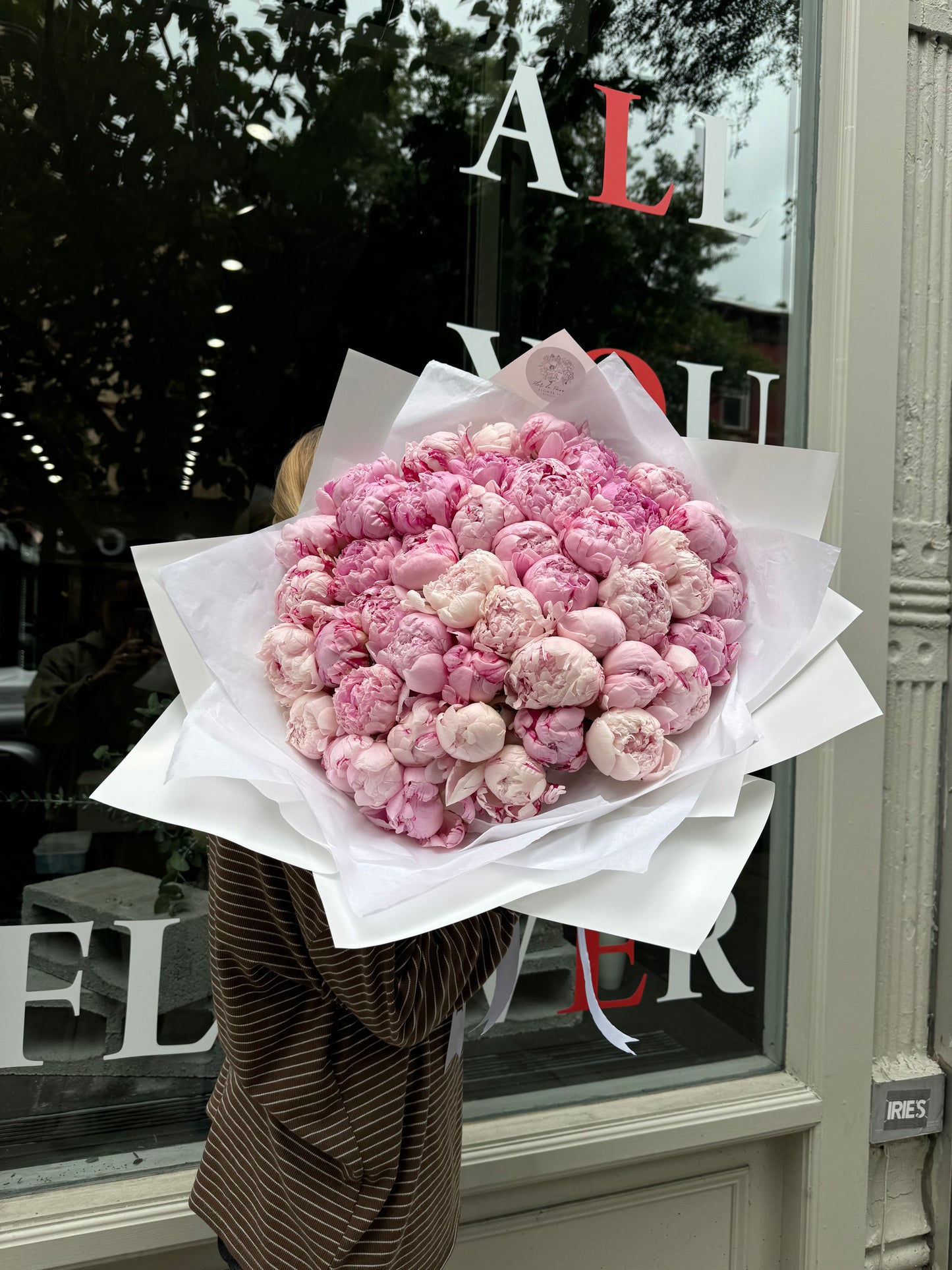 Light Pink Peonies