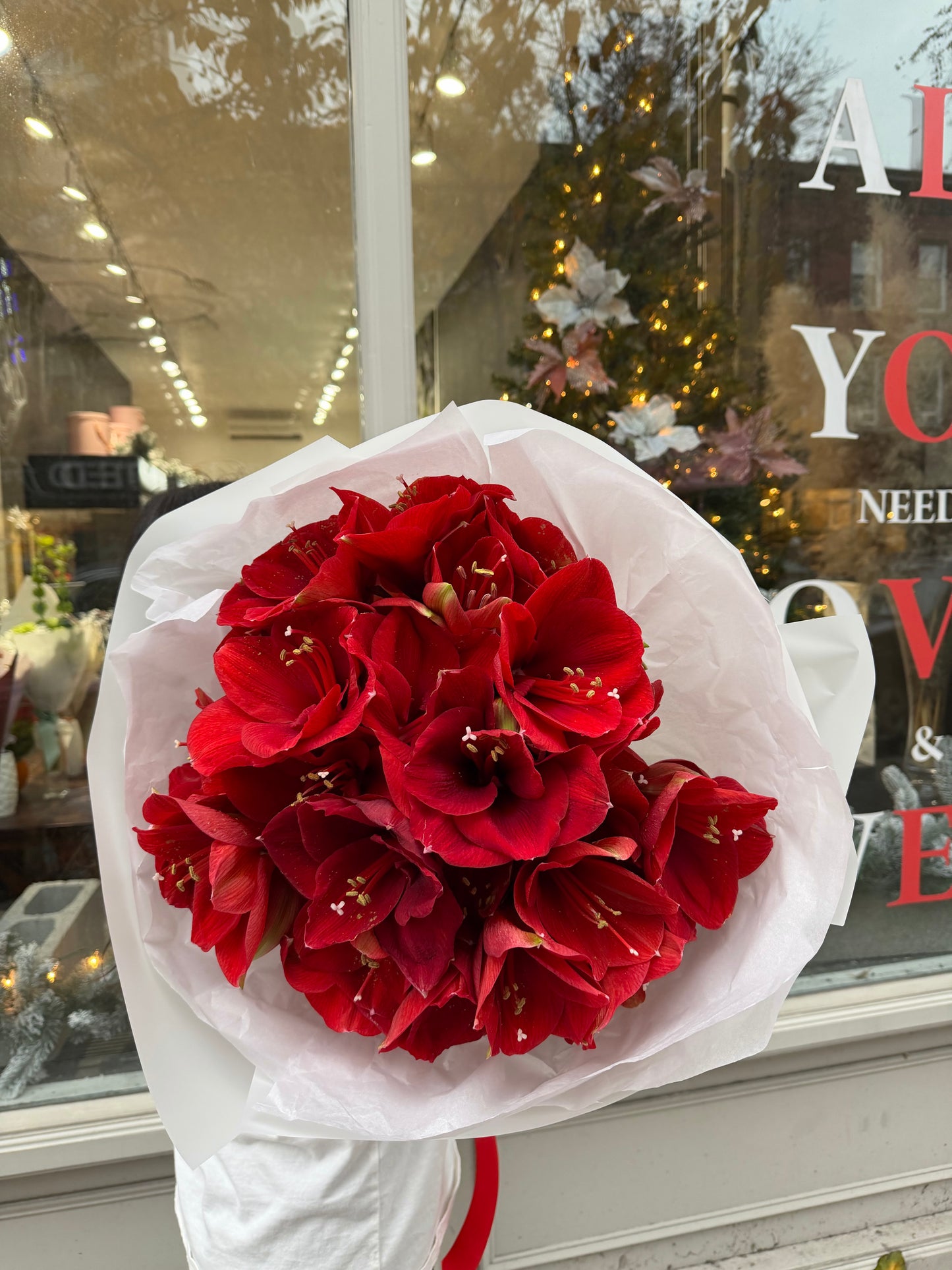 Mono Bouquet of Amaryllis