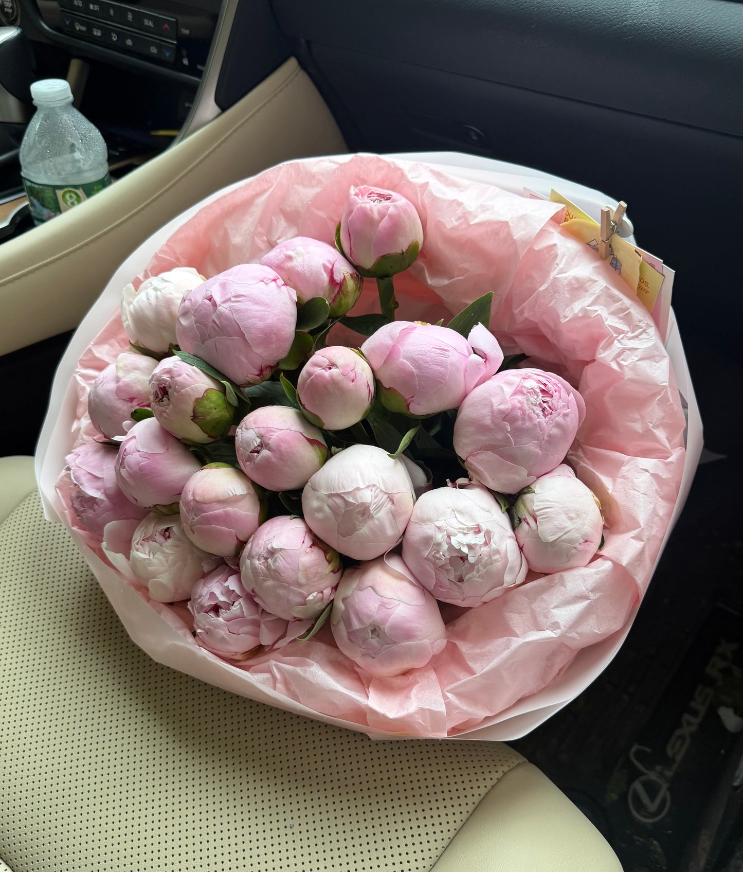 Light Pink Peonies