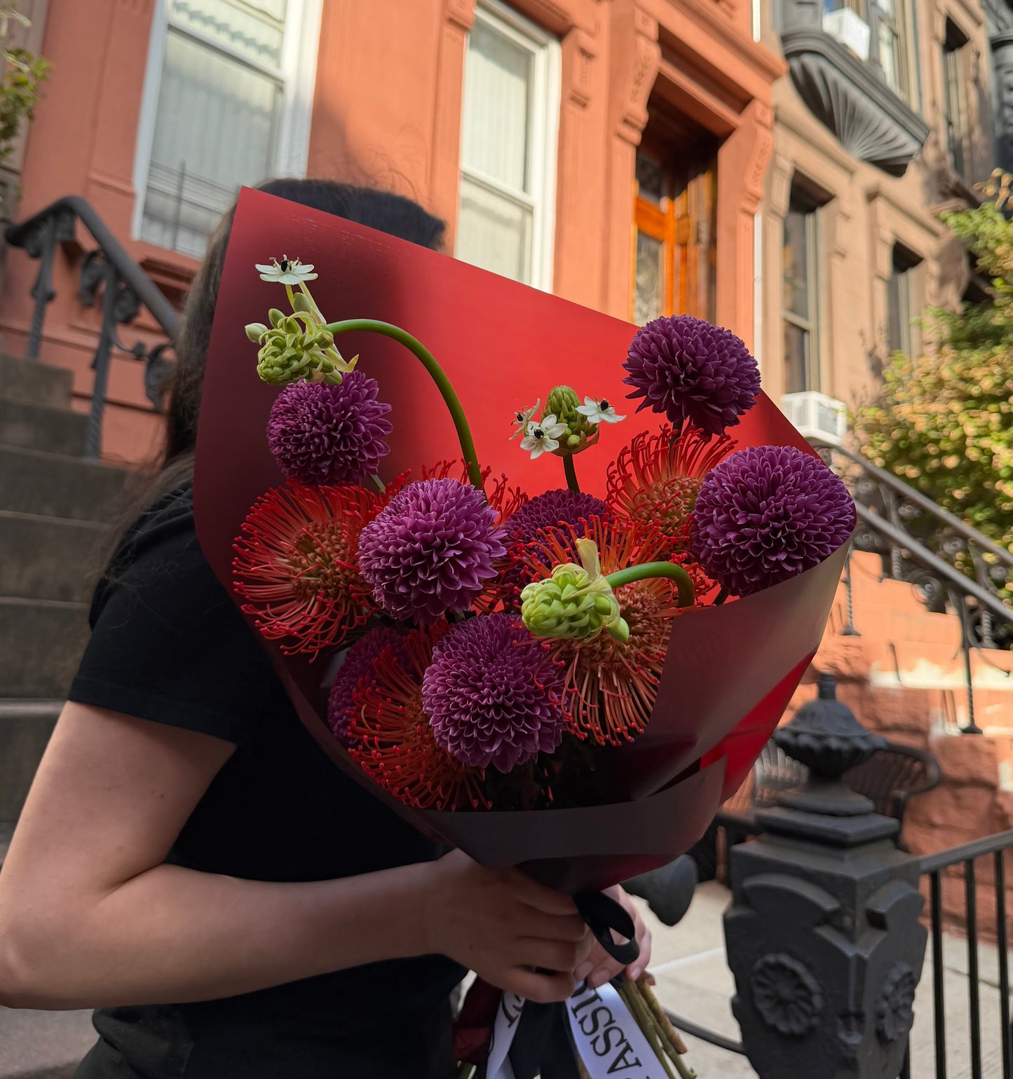 “Crimson Orbit” Bouquet (Ornithogalum, Cremon Purple, Pincushion)