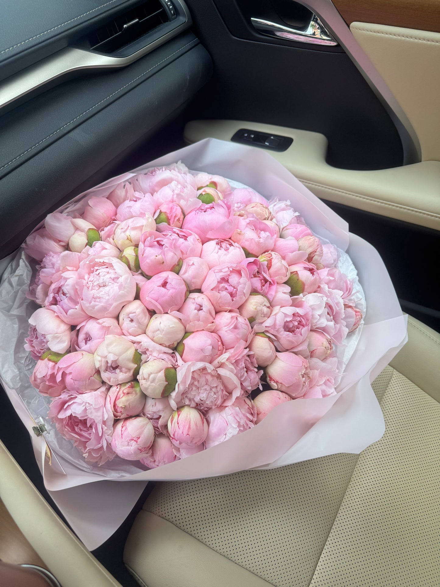 Light Pink Peonies