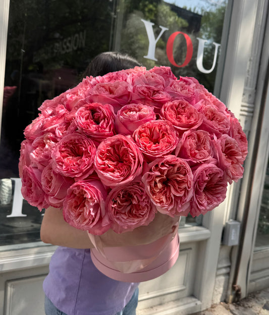 Pink Expression Garden Roses in a box