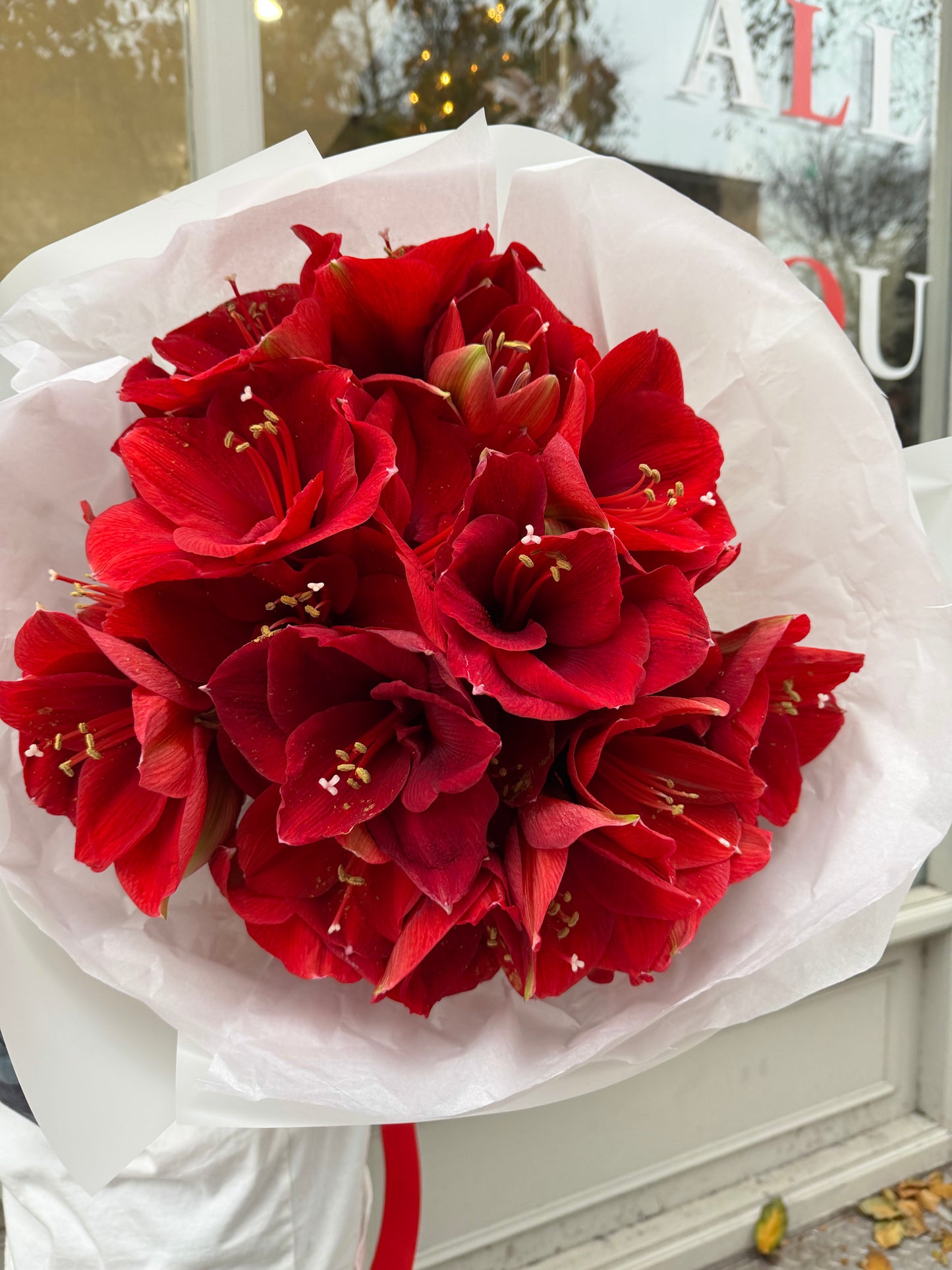 Mono Bouquet of Amaryllis