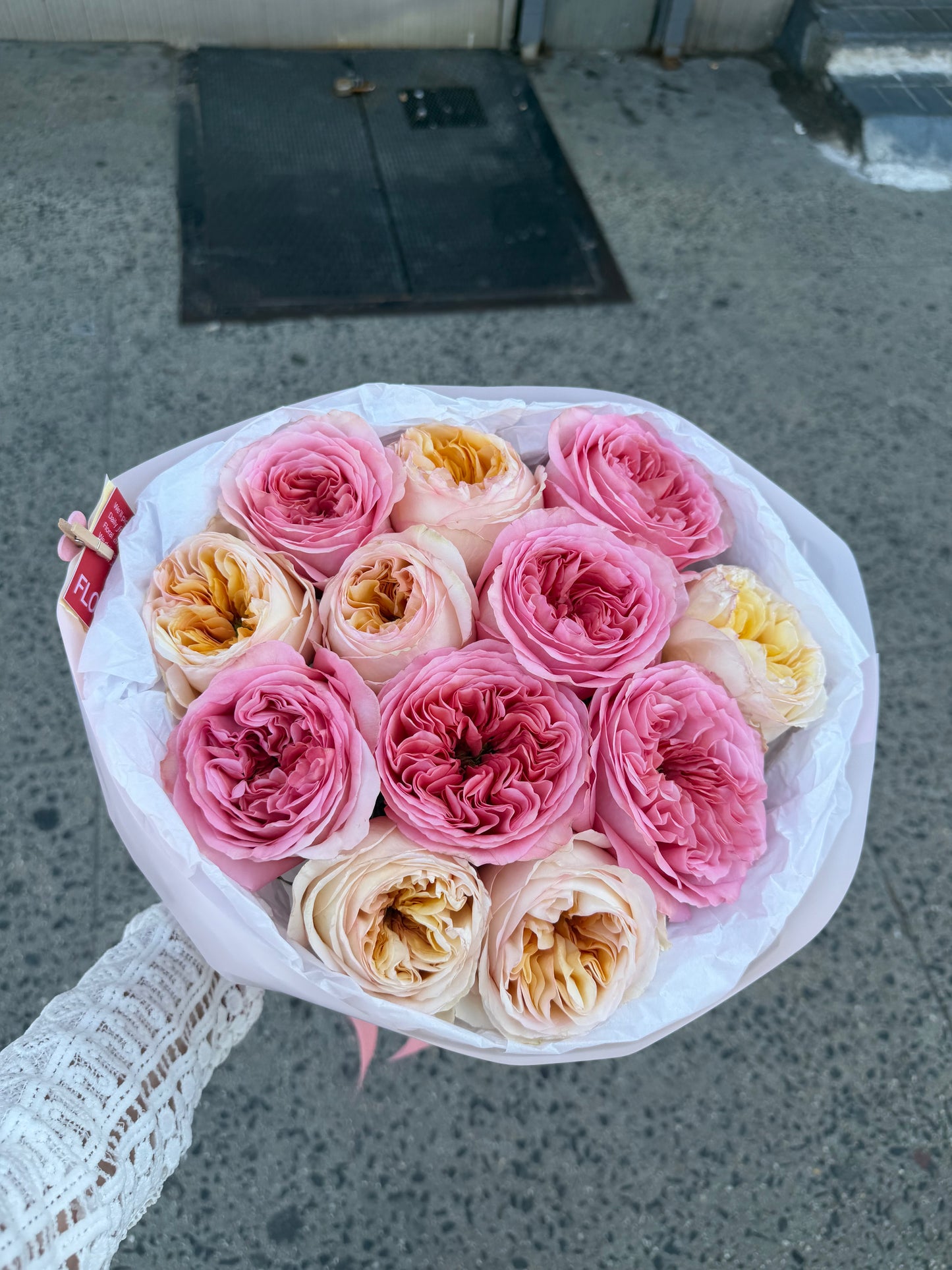 Mix of Garden Roses (pink expression garden roses, cream expression garden roses)