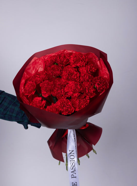 Mono Carnations (Valentine's Day)