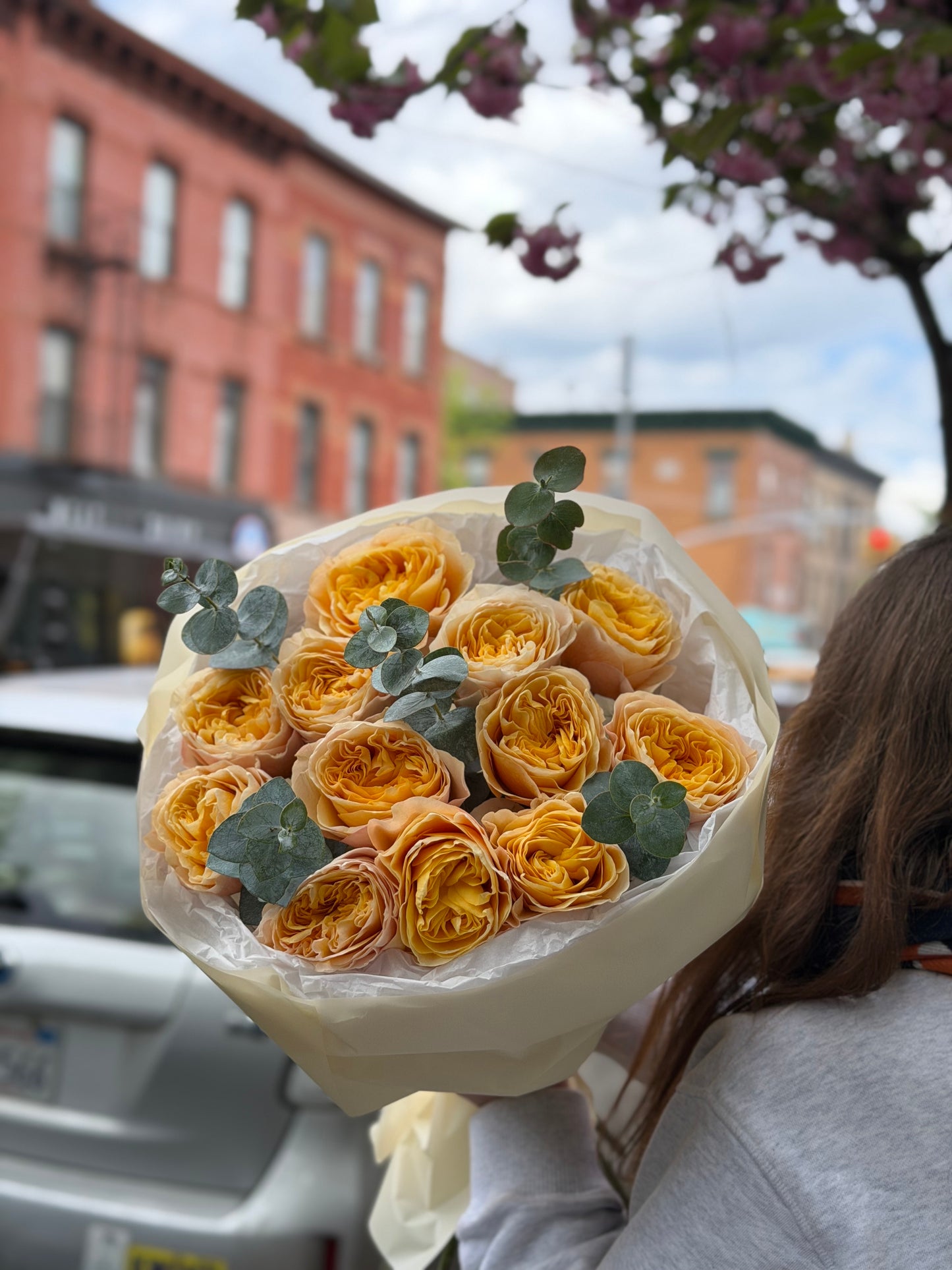 Cream Garden Roses & Eucalyptus
