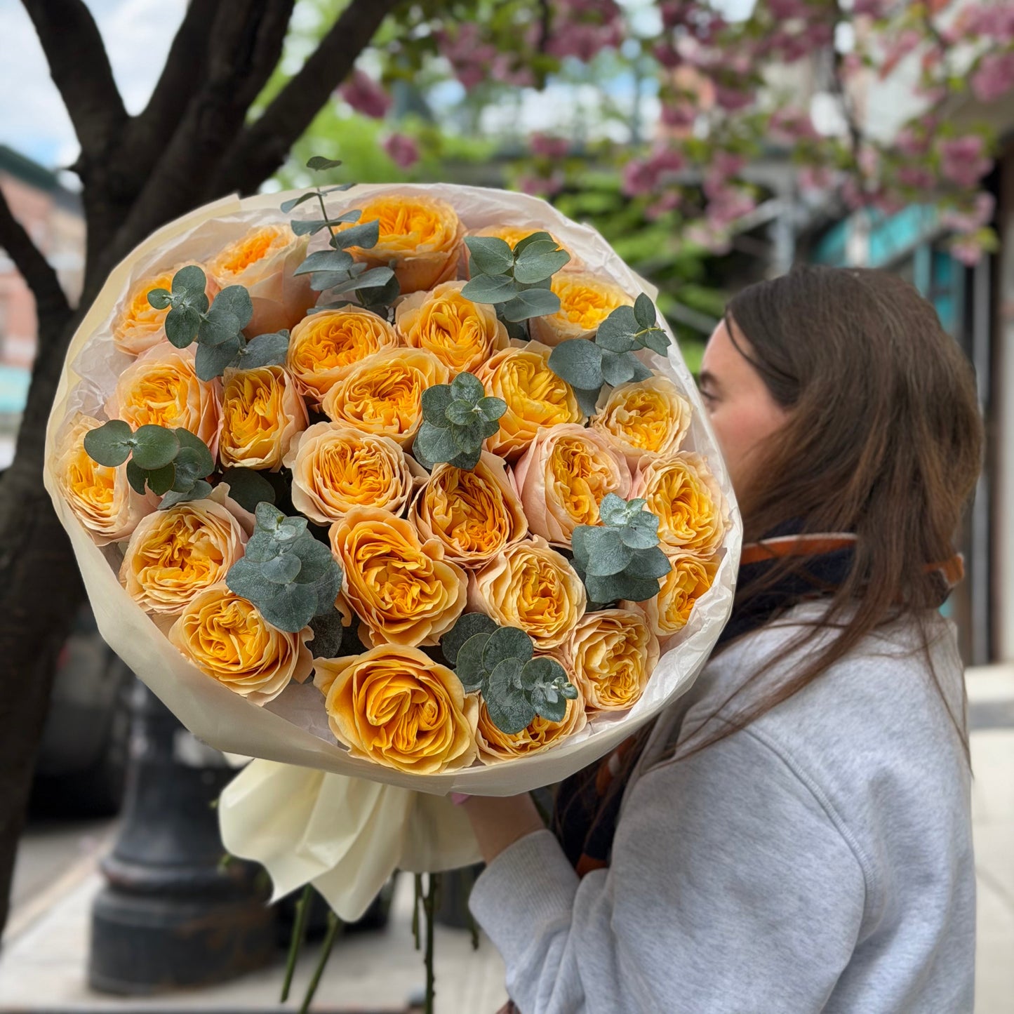 Cream Garden Roses & Eucalyptus