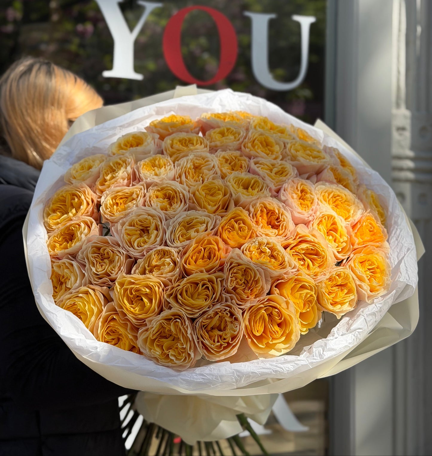 Cream Garden Roses