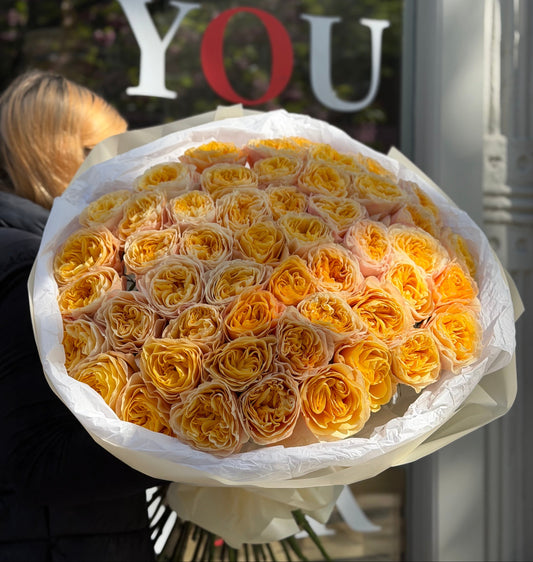 Cream Garden Roses