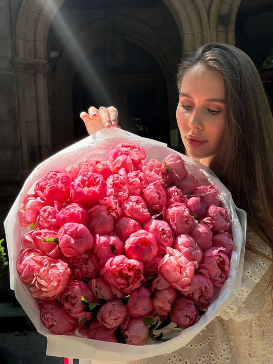 Coral Charm Peonies