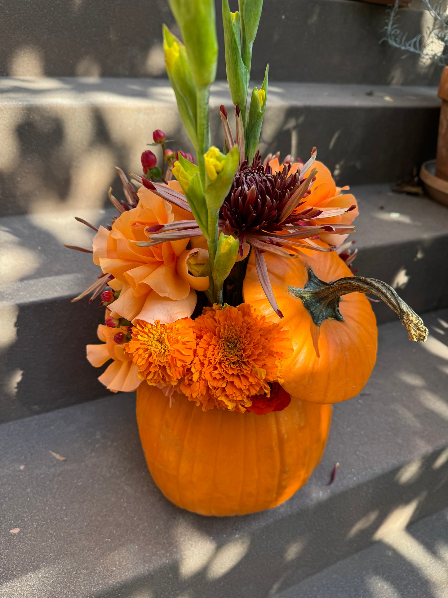 Pumpkin Arrangement #3