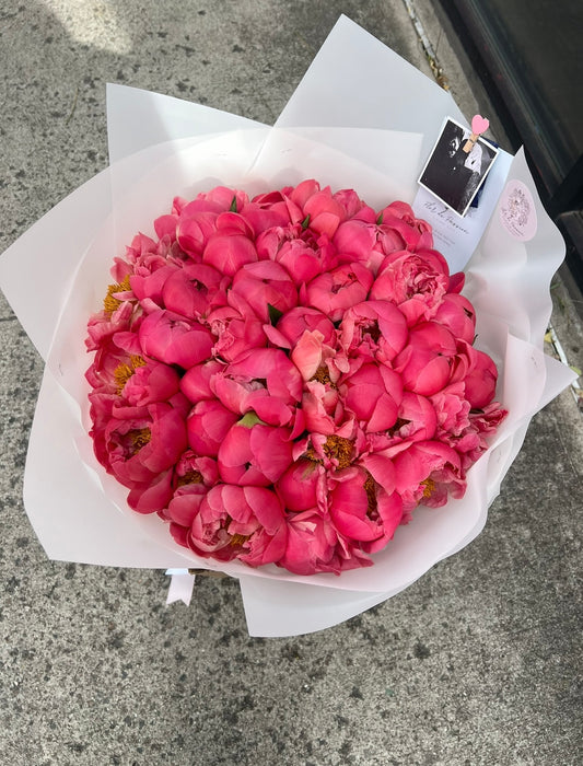 Mono Bouquet of Coral Charm Peonies