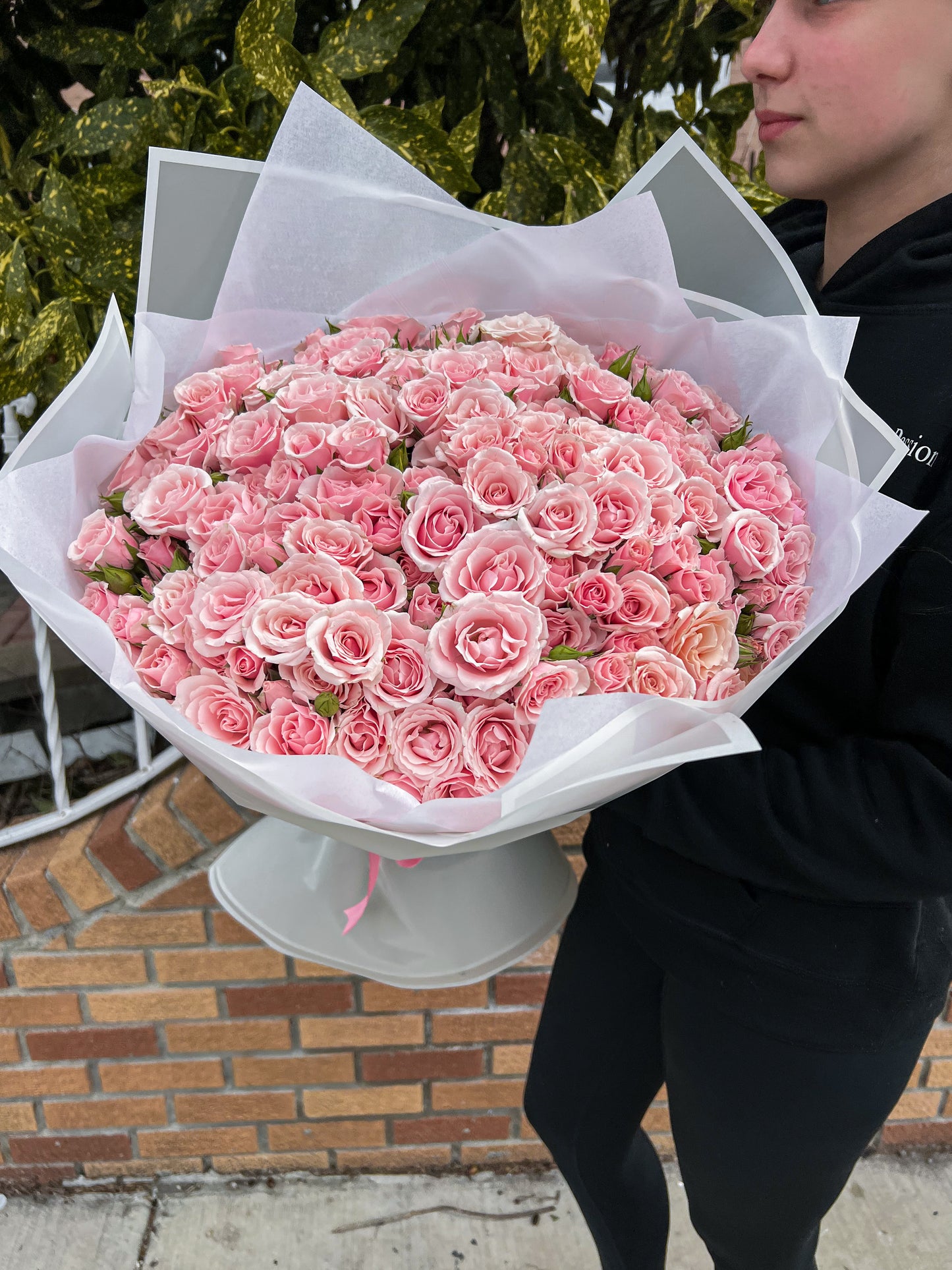 Mono Bouquet of Spray Roses (Valentine's Day)