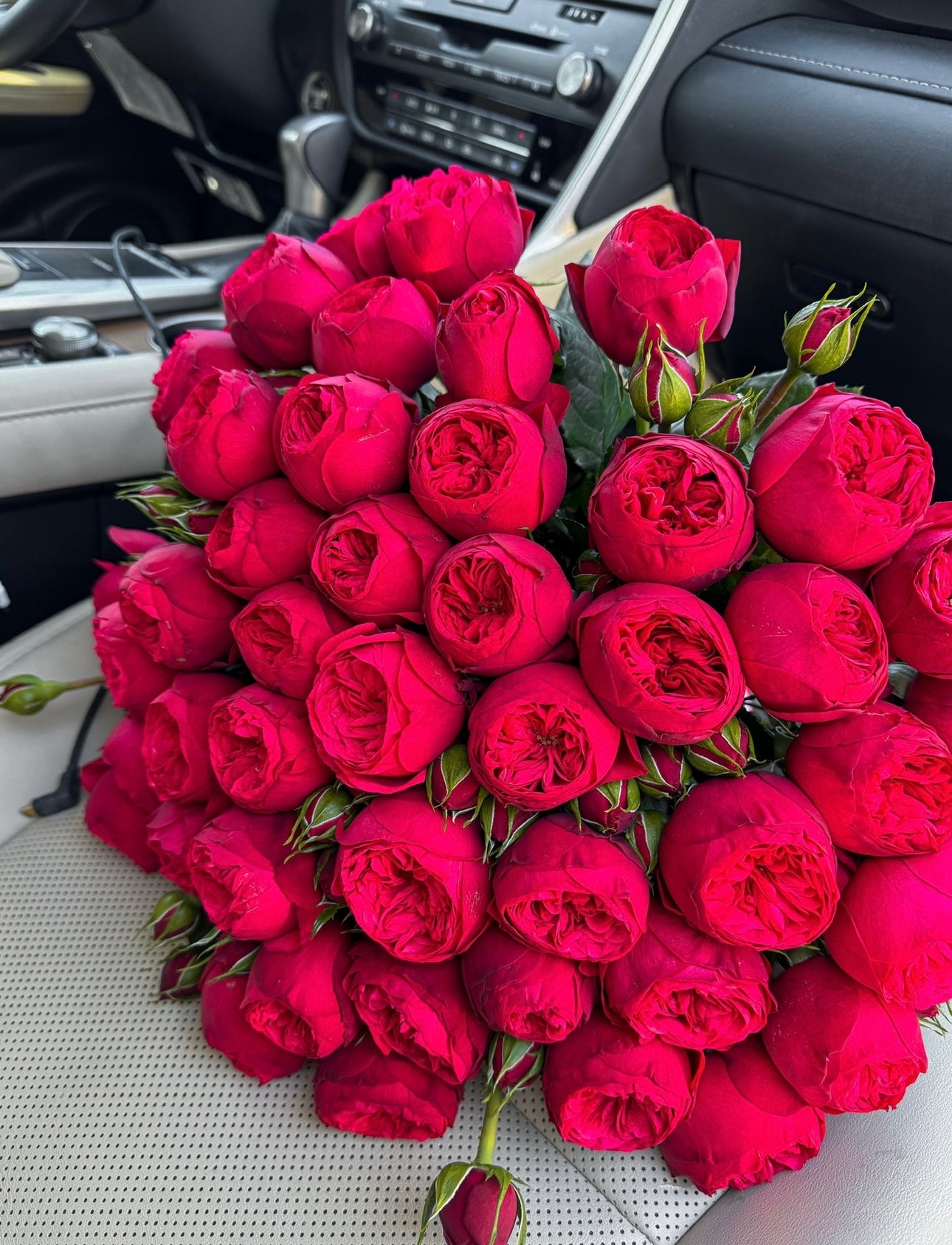 Mono Red Piano Roses