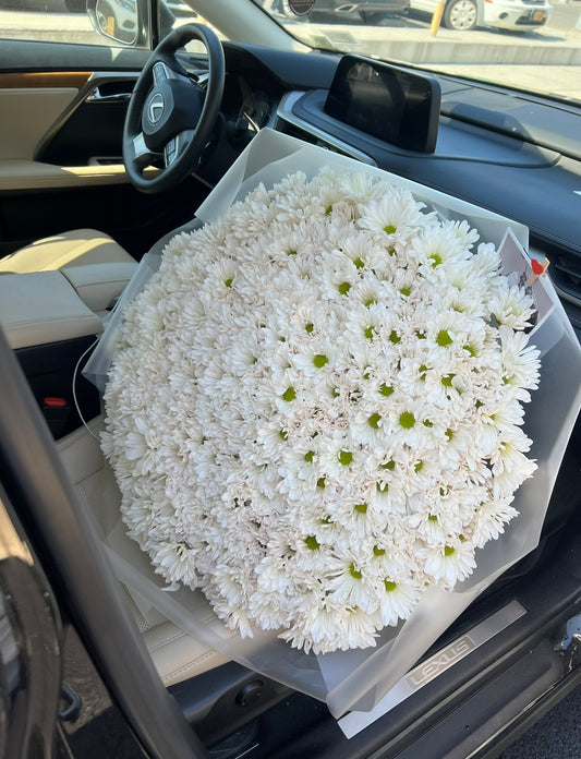 Mono Bouquet of Daisy