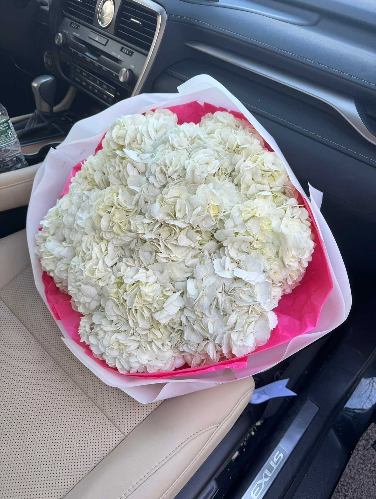 Mono Hydrangeas Bouquet