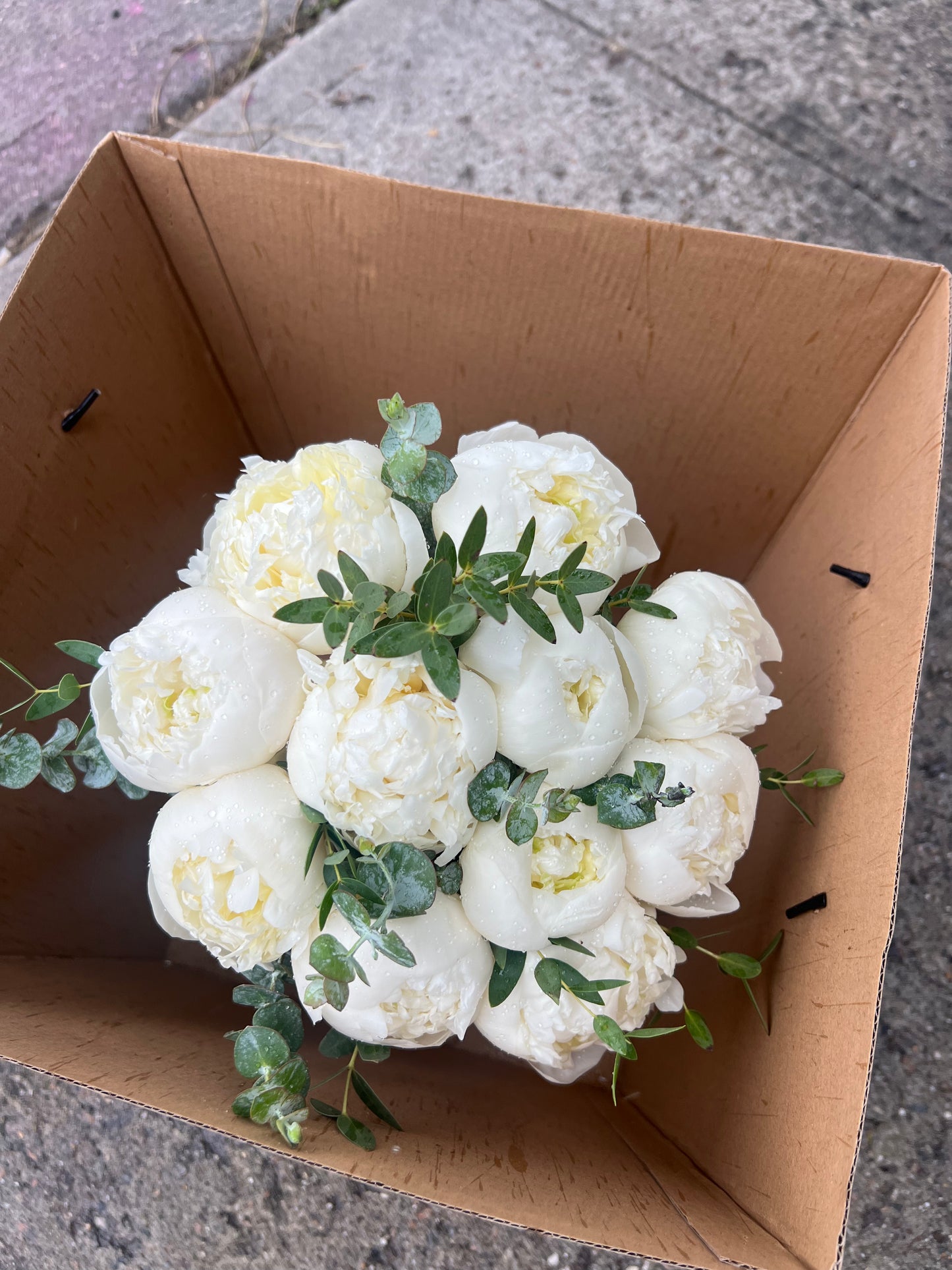 Wedding bouquet of white peonies & eucalyptus